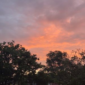 Meet your Posher, Mia